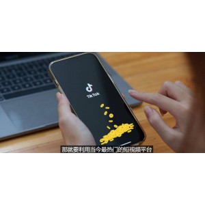 TIKTOK海外賺錢項目：不需錄制視頻 只需簡單的剪輯 月賺3000到5000美元