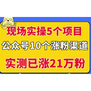 現(xiàn)場(chǎng)實(shí)操5個(gè)公眾號(hào)項(xiàng)目，10個(gè)漲粉渠道，實(shí)測(cè)已漲21萬(wàn)粉！