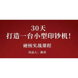 康哥30天打造一臺小型印鈔機：躺賺30萬的項目完整復盤（視頻教程）