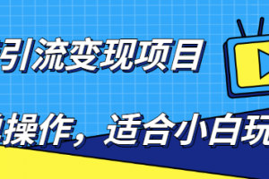 百度引流變現(xiàn)項(xiàng)目，簡(jiǎn)單操作，適合小白玩，項(xiàng)目長(zhǎng)期可以操作