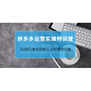 青云:拼多多運營實操特訓(xùn)營：從0到1/單點突破/1-100/帶領(lǐng)實操 價值2980元