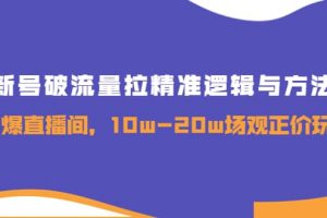 新號破流量拉精準邏輯與方法，引爆直播間，10w-20w場觀正價玩法