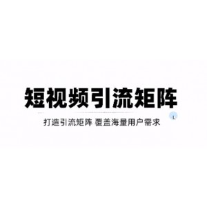 短視頻引流矩陣打造，SEO 二剪裂變，效果超級好！【視頻教程】