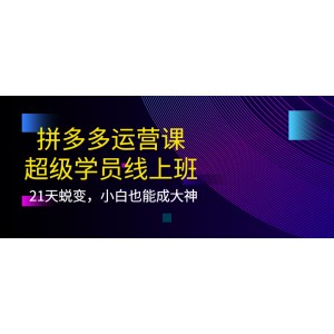 拼多多運營課：超級學(xué)員線上班，21天蛻變，小白也能成大神