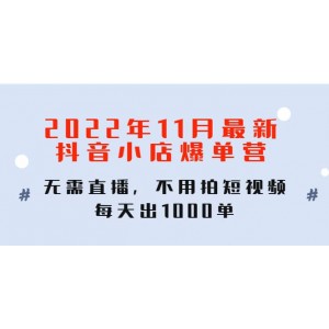 2022年11月最新抖音小店爆單訓練營：無需直播，不用拍短視頻，每天出1000單