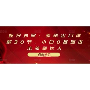 業(yè)仔外貿(mào)：外貿(mào)出口詳解30節(jié)，小白0基礎(chǔ)進(jìn)擊外貿(mào)達(dá)人 價(jià)值666元