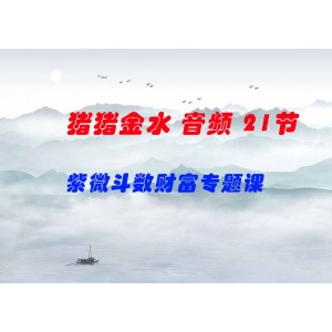 豬豬金水 紫微斗數(shù)財富專題課 音頻 21節(jié)