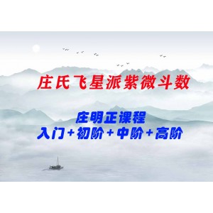 2021莊明正 莊氏飛星派紫微斗數(shù)入門票+初階篇+中階篇+高階篇課程