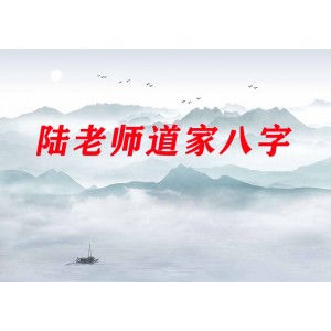 陸老師道道家八字21集