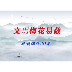 文玥梅花易數(shù)視頻課程20集