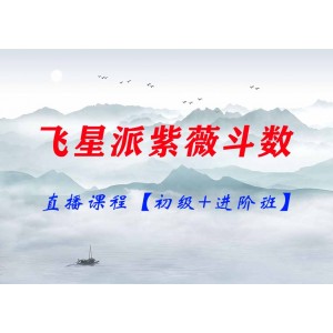 飛星派紫薇斗數(shù)直播課程【初級+進(jìn)階班】