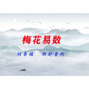 劉易銘梅花易數(shù)斷卦案例