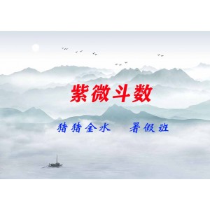 豬豬金水紫微斗數(shù)暑假班