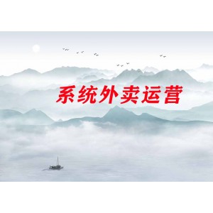 系統(tǒng)外賣運營＋招商方案