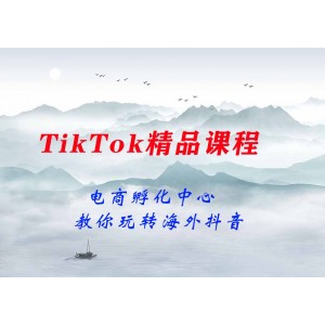 電商孵化中心·TikTok精品課程，教你玩轉(zhuǎn)海外抖音