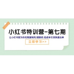 小紅書特訓(xùn)營-第七期 讓小紅書變?yōu)槟銦o限復(fù)制的/提款機(jī) 低成本引流快速出單