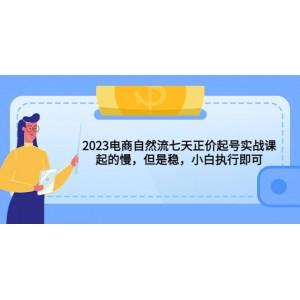 2023電商自然流七天正價起號實戰(zhàn)課：起的慢，但是穩(wěn)，小白執(zhí)行即可