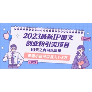 2023最新IP圖文創(chuàng)業(yè)粉引流項(xiàng)目，10天之內(nèi)可以出單 普通小白可以月入1-3萬