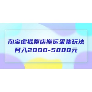 淘寶虛擬整店搬運(yùn)采集玩法分享課：月入2000-5000元（5節(jié)課）