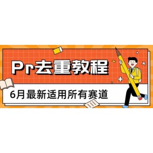 2023年6月最新Pr深度去重適用所有賽道，一套適合所有賽道的Pr去重方法