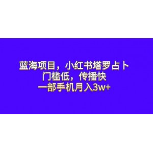 藍(lán)海項(xiàng)目，小紅書塔羅占卜，門檻低，傳播快，一部手機(jī)月入3w