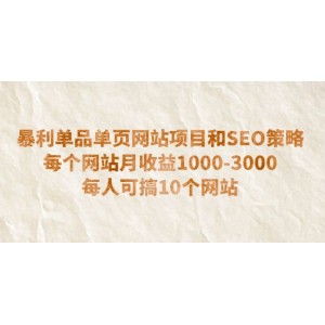 暴利單品單頁網(wǎng)站項目和SEO策略 每個網(wǎng)站月收益1000-3000 每人可搞10個