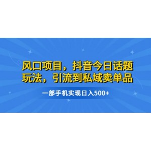 風(fēng)口項目，抖音今日話題玩法，引流到私域賣單品，一部手機實現(xiàn)日入500