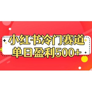 小紅書冷門賽道，單日盈利500 【揭秘】