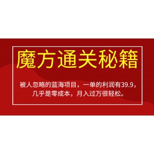 被人忽略的藍海項目，魔方通關秘籍一單利潤有39.9，幾乎是零成本