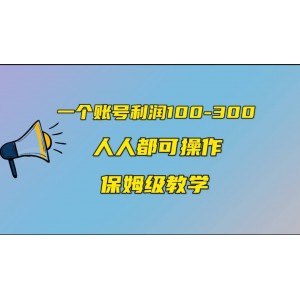 一個賬號100-300，有人靠他賺了30多萬，中視頻另類玩法，任何人都可以做到