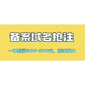 【全網(wǎng)首發(fā)】備案域名搶注，一單利潤300-500元，需求量大