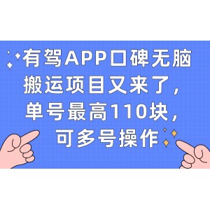 有駕APP口碑無腦搬運項目又來了，單號最高110塊，可多號操作