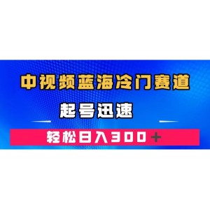 中視頻藍(lán)海冷門賽道，韓國(guó)視頻奇聞解說(shuō)，起號(hào)迅速，日入300＋