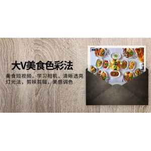 大V美食色彩法：學習相機與燈光法，制作清晰透亮的美食短視頻，使用剪映進行剪輯與美感調(diào)色