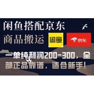 閑魚與京東備份庫合作，每單利潤200-300，保證正品，新手友好