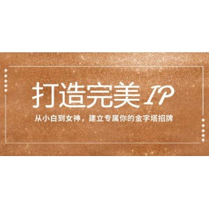 塑造完美IP：從新手到專家，構(gòu)建屬于你的金字塔形象（15節(jié)課程）