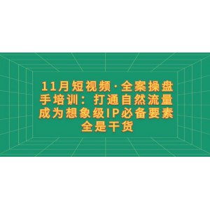 11月短視頻·全案操盤手培訓：掌握自然流量秘訣，成為想象級IP的關鍵要素，全程干貨分享