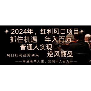 2024紅利風(fēng)口：普通人實(shí)現(xiàn)逆襲之路！抓住第一波紅利，輕松年入百萬，讓你逆風(fēng)翻盤，成就財(cái)富人生！