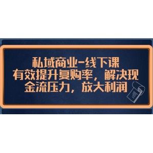 私域商業(yè)實(shí)戰(zhàn)指南：如何提高復(fù)購率、緩解現(xiàn)金流壓力，并最大化利潤！