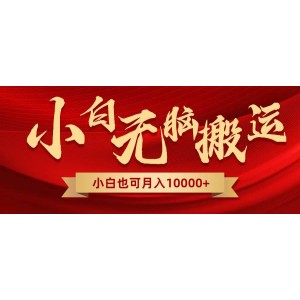 無腦搬運視頻全新獨占玩法：一個賬號每天輕松獲取1000元收益！多個賬號助力擴張！