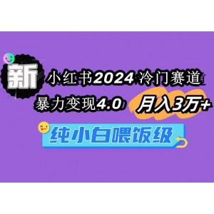 2024年小紅書熱門但少人涉足的賽道：月入3萬+的暴利變現(xiàn)秘訣，純新手也能輕松上手的保姆級(jí)教程