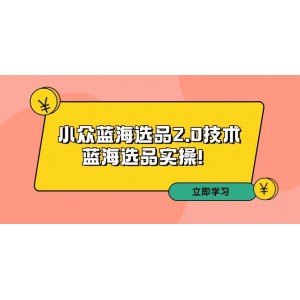 拼多多第33期培訓(xùn)：深入探索小眾藍(lán)海選品2.0策略——實操藍(lán)海選品技巧！