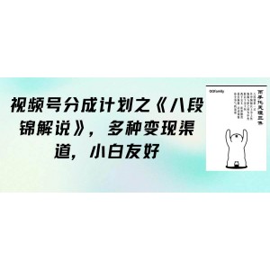 視頻號分成計(jì)劃揭秘：《八段錦解說》助你多渠道變現(xiàn)，新手友好，教程素材一應(yīng)俱全