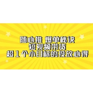 隨心推爆單寶典：短視頻帶貨秘訣，突破千萬銷售額的投放經(jīng)驗分享（含7節(jié)視頻課程）