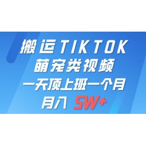 輕松實(shí)現(xiàn)TIKTOK萌寵視頻一鍵遷移，單部手機(jī)即可掌控，全平臺自由發(fā)布，月賺5W+不是夢！