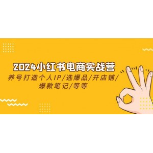 2024小紅書電商精英班：養(yǎng)號(hào)塑IP/精選熱銷品/店鋪搭建/筆記爆文打造等全攻略（共24節(jié)）